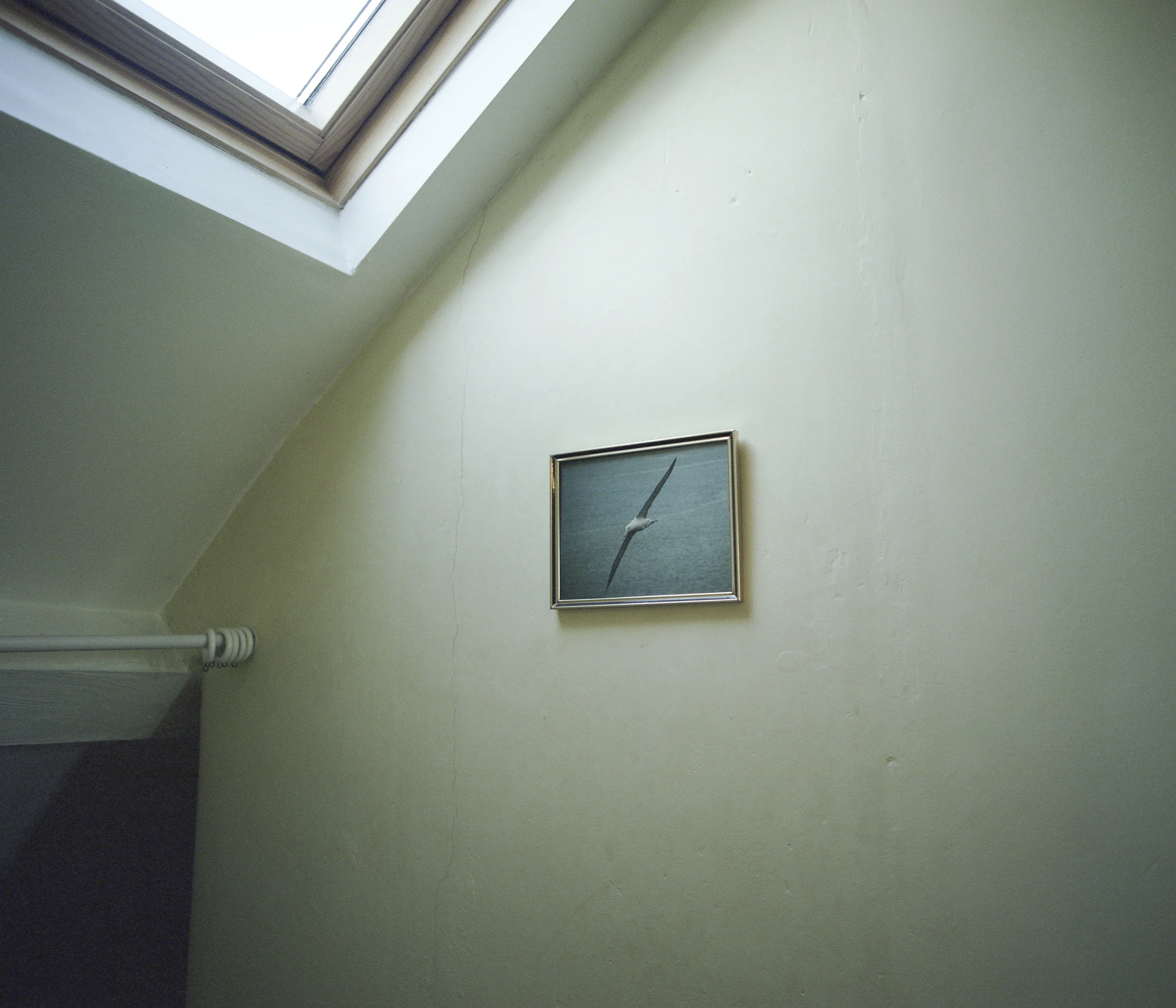cottage4web.jpg