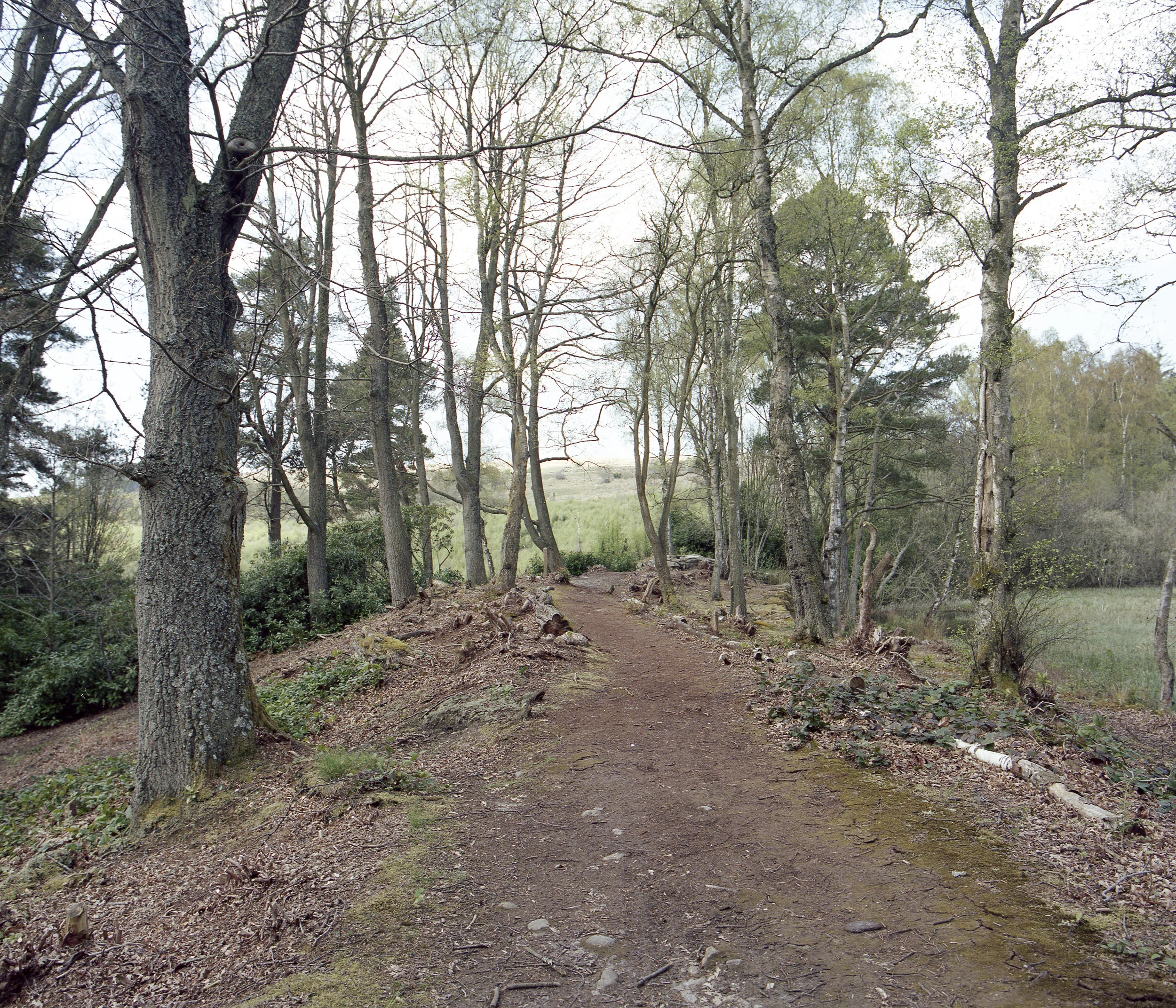 cragside1web.jpg