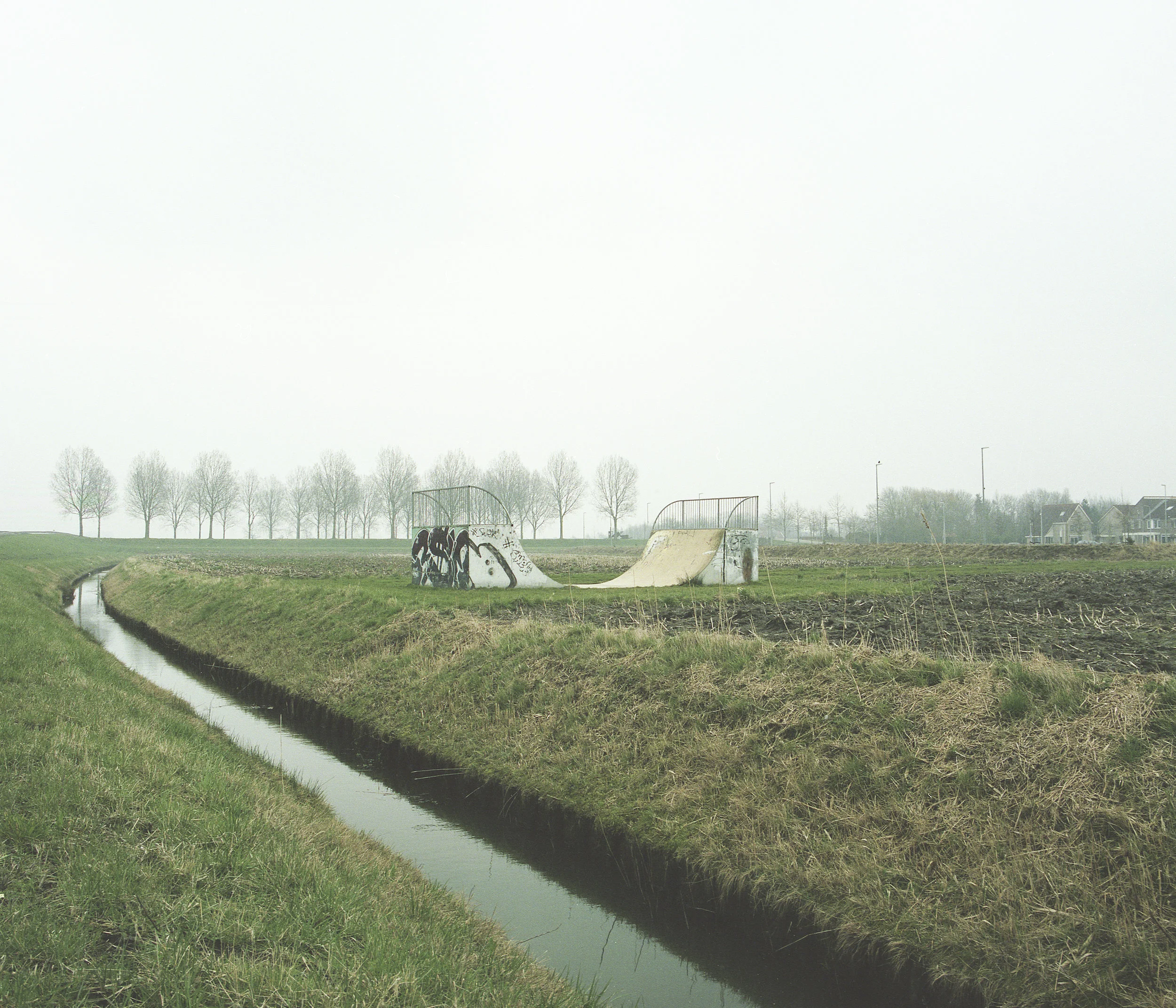 flatland24web.jpg
