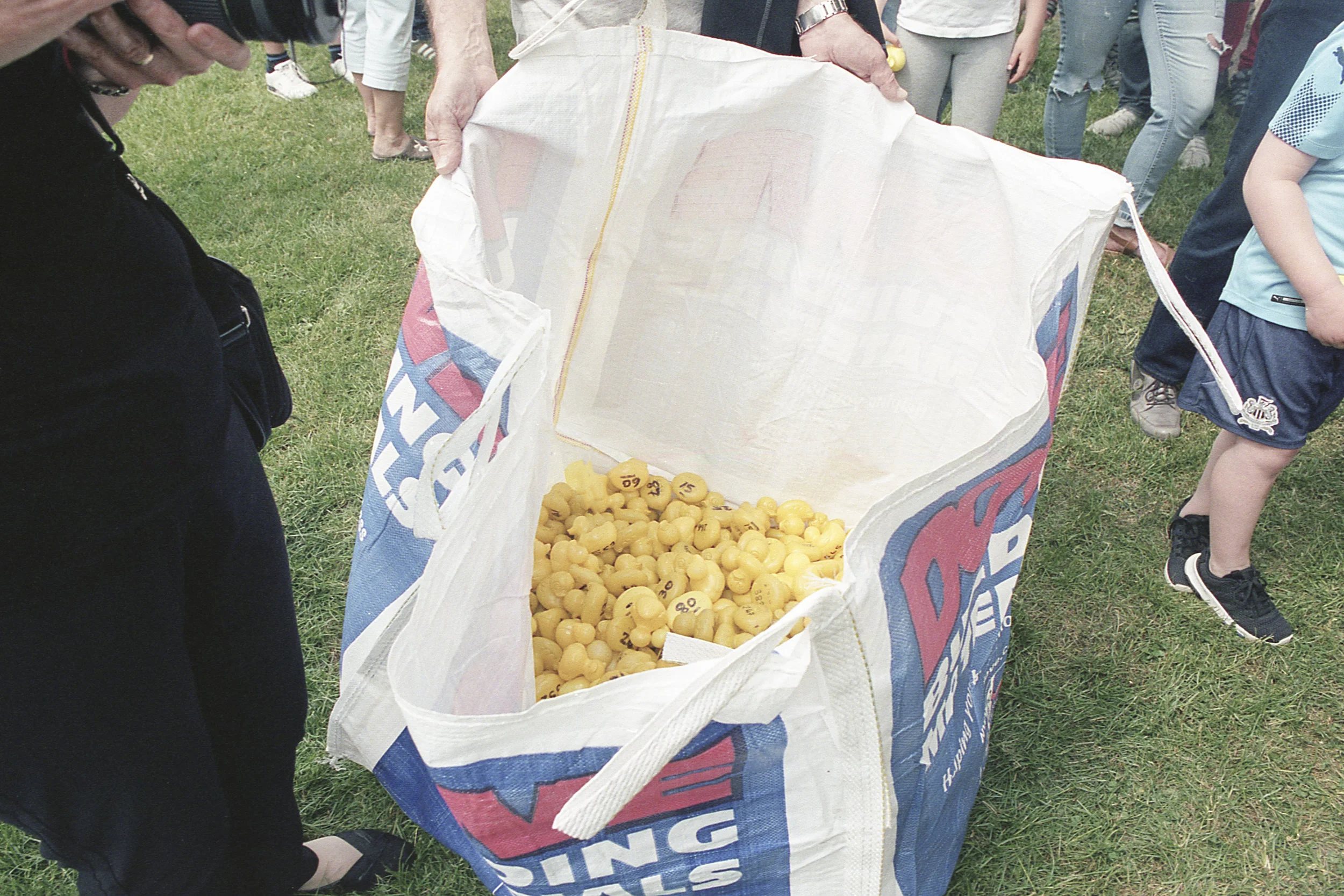 duckrace8.jpg