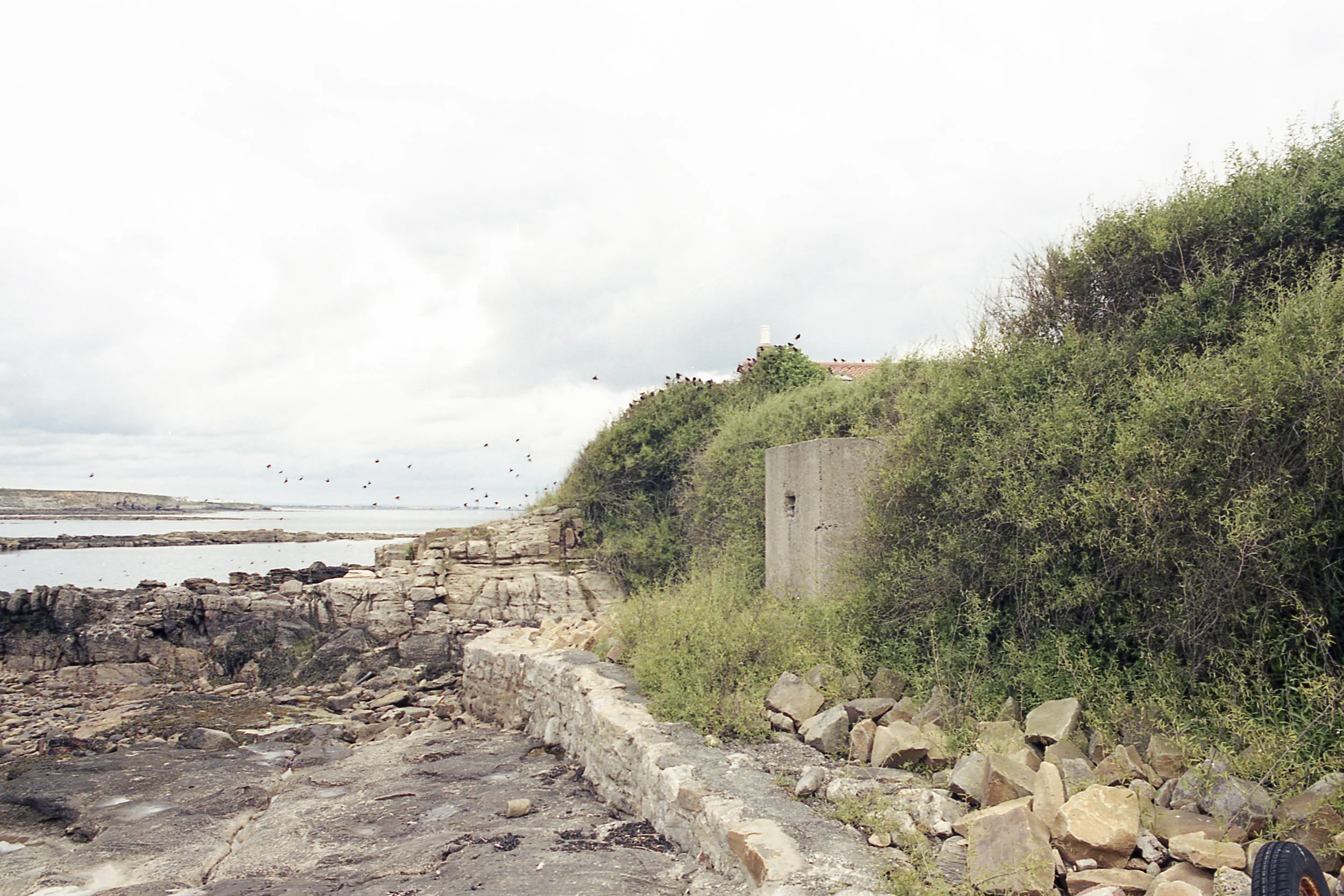 lighthouse5.jpg