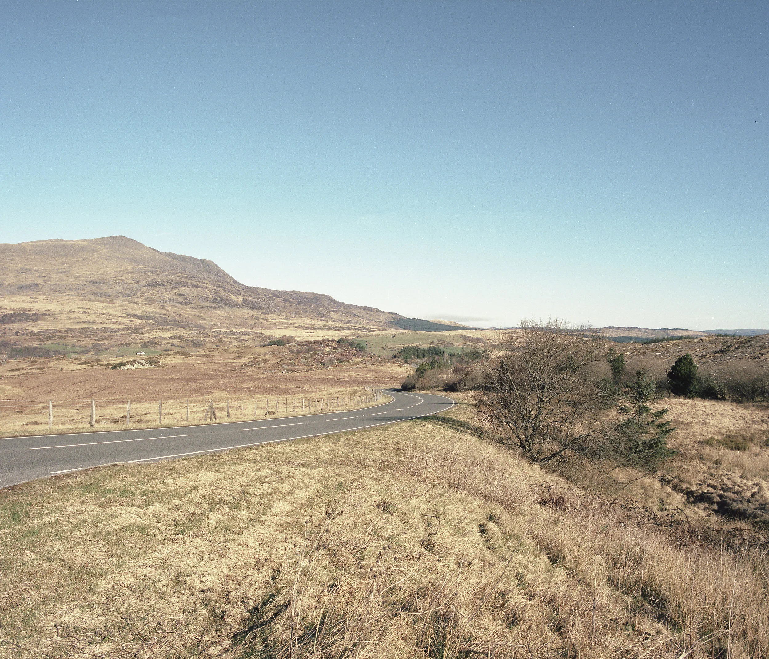 wales5.jpg