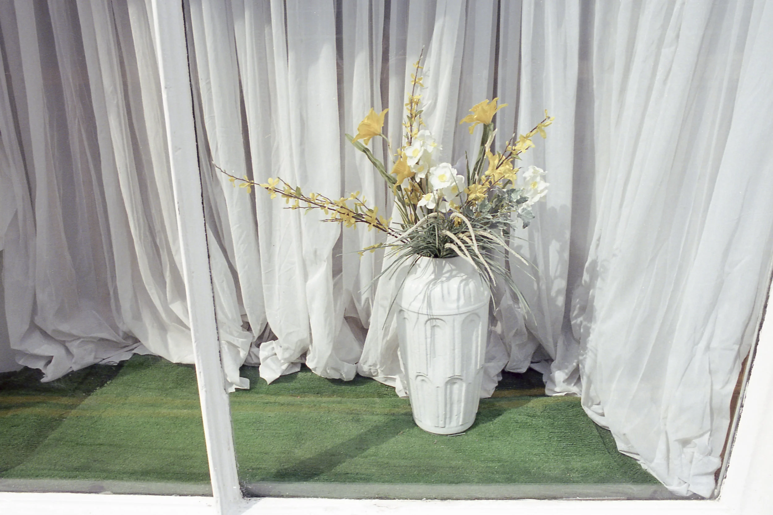 flowers.jpg