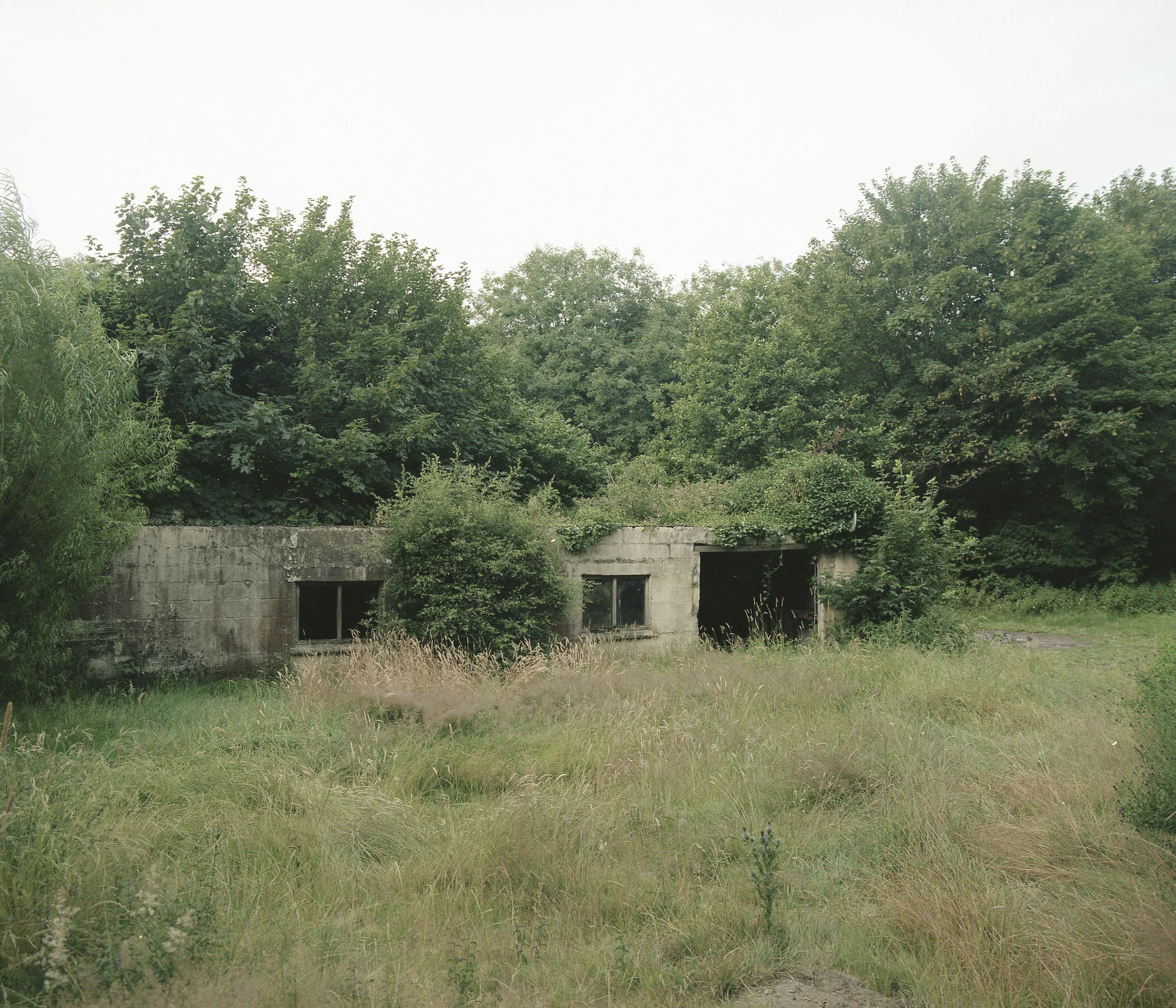 cornwall11.jpg