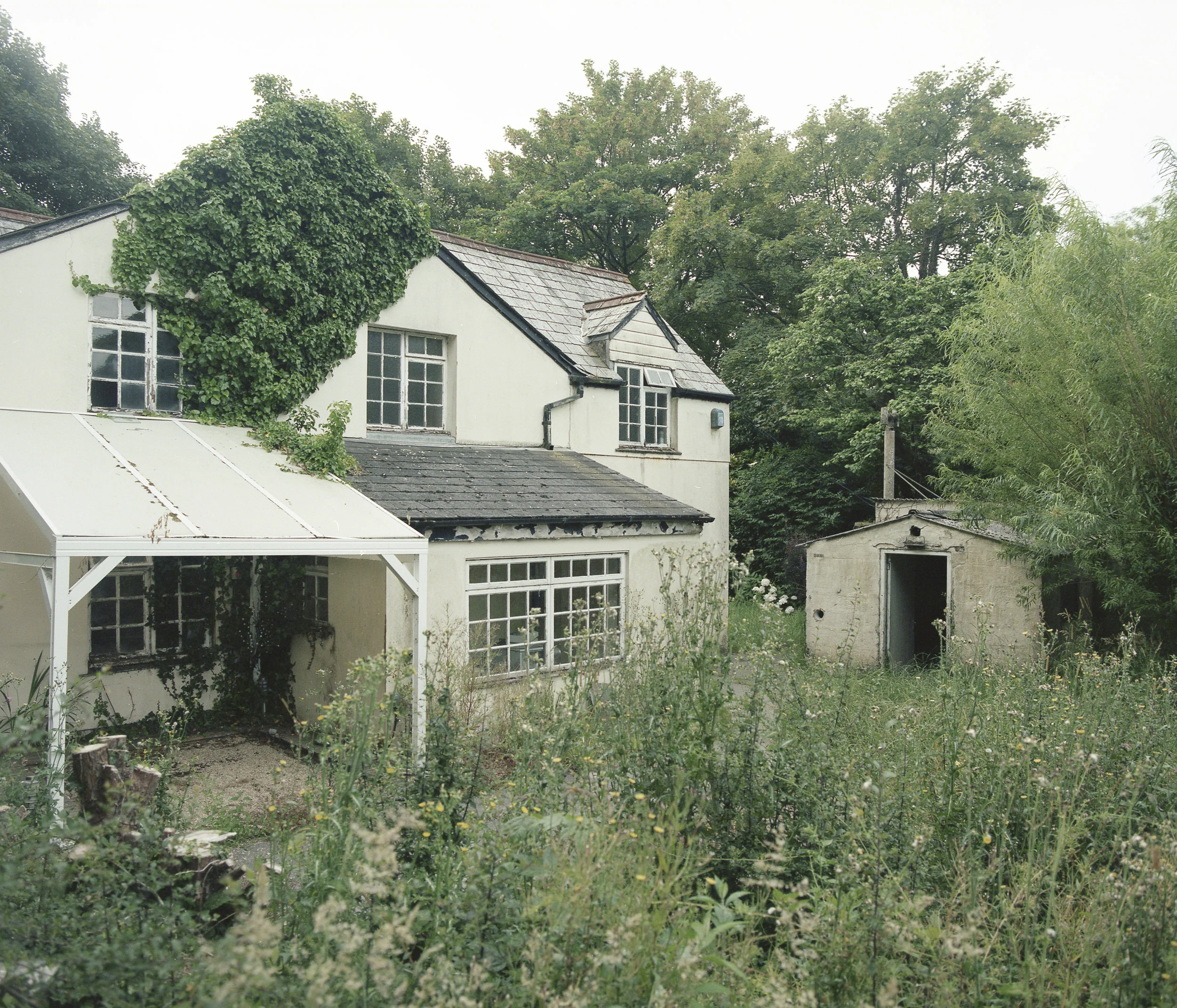 cornwall12.jpg