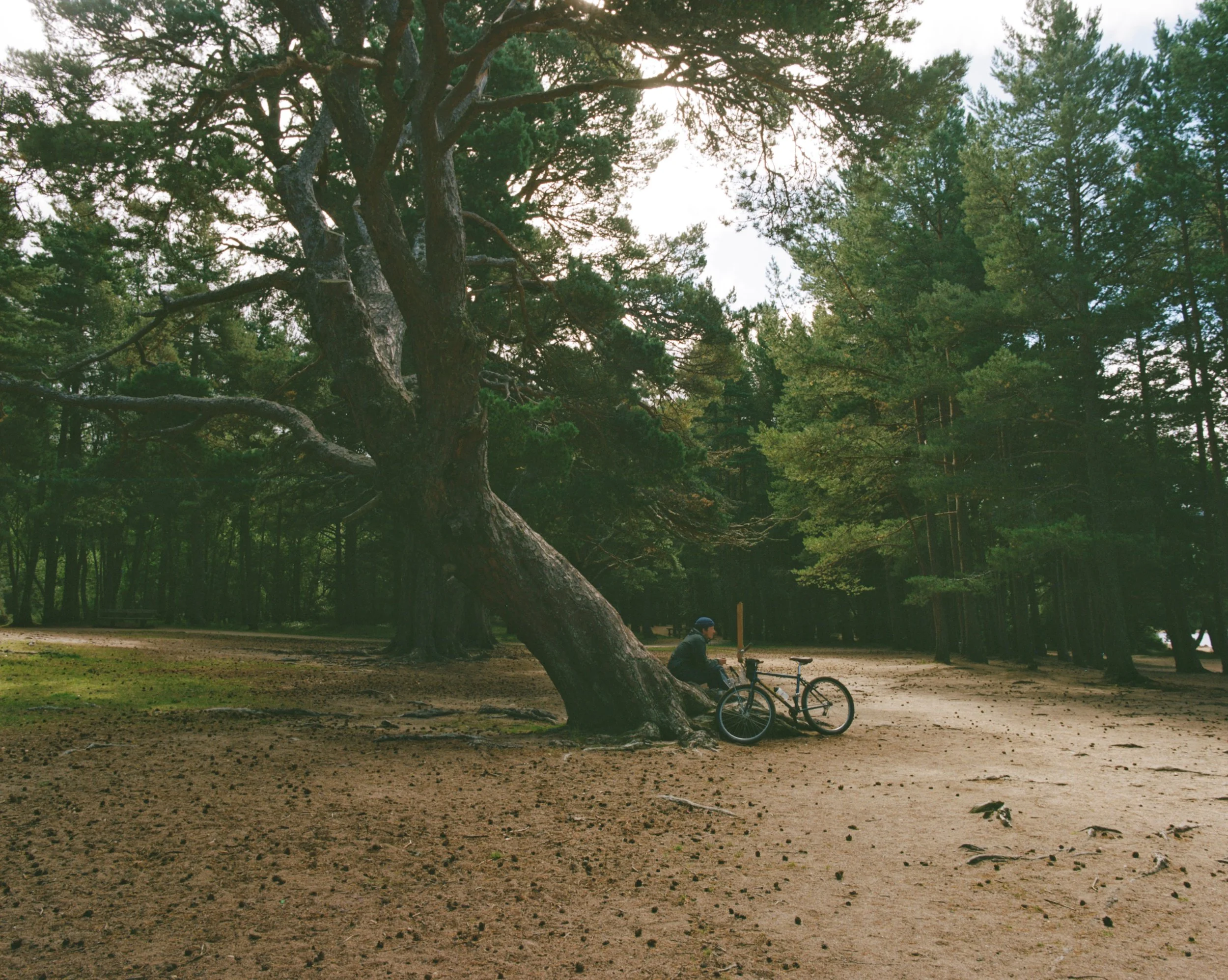 Photo 31-08-2023, 8 10 39 pm.jpg