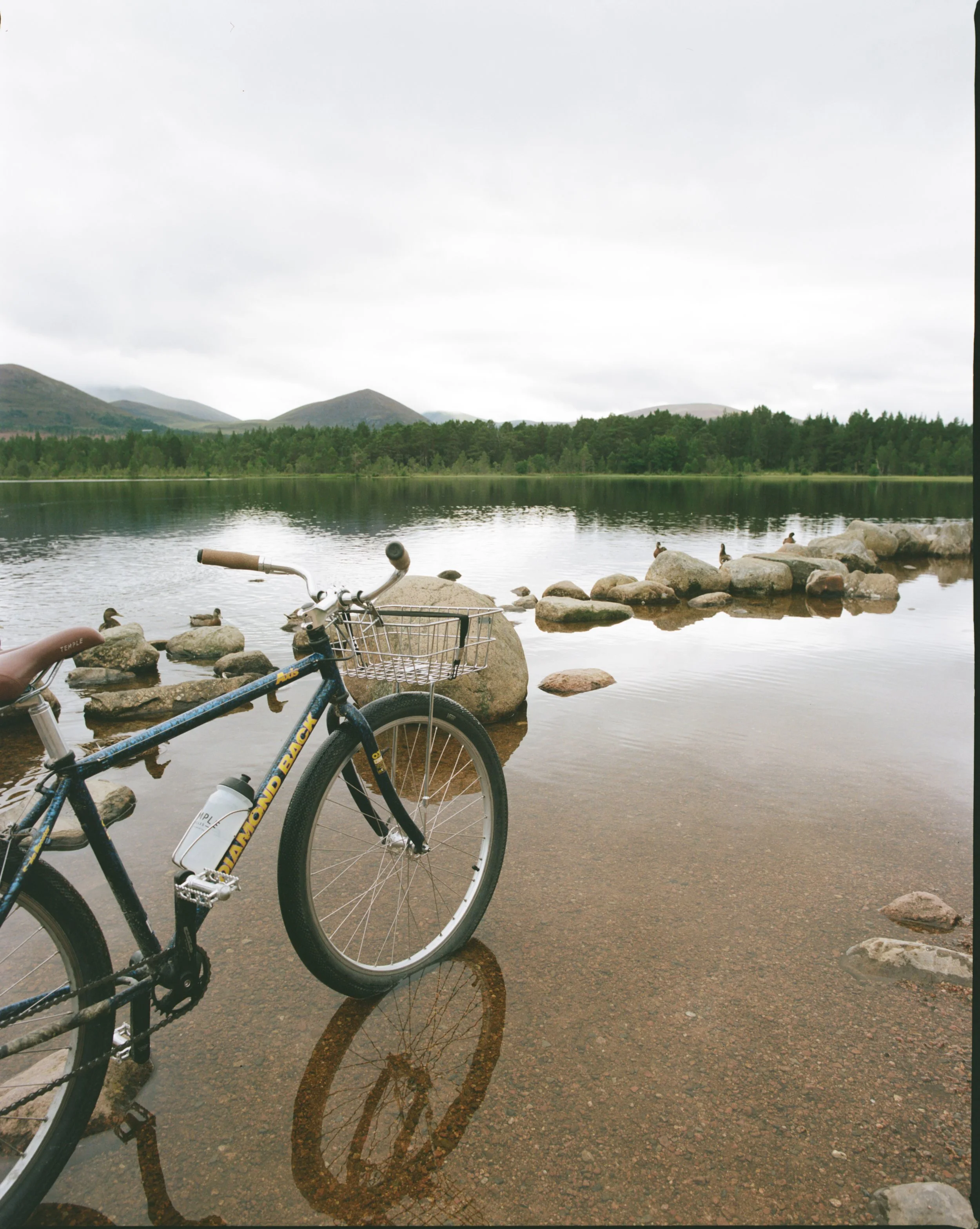 Photo 07-08-2023, 8 01 02 pm.jpg