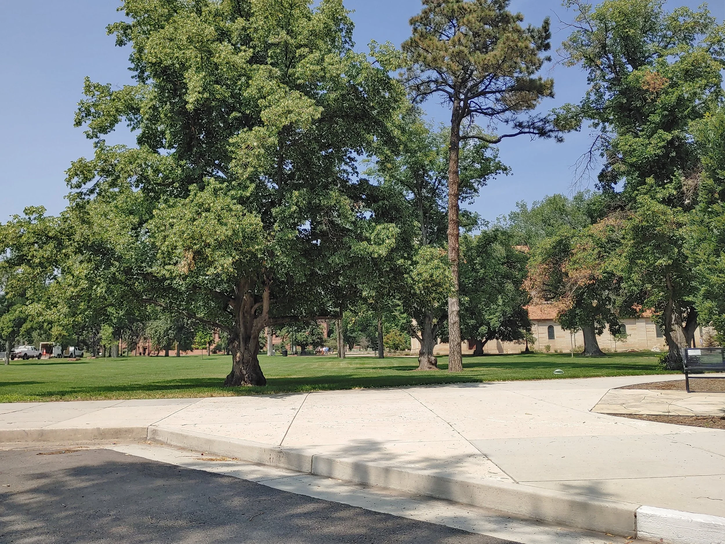 20210802_142218_HDR.jpg