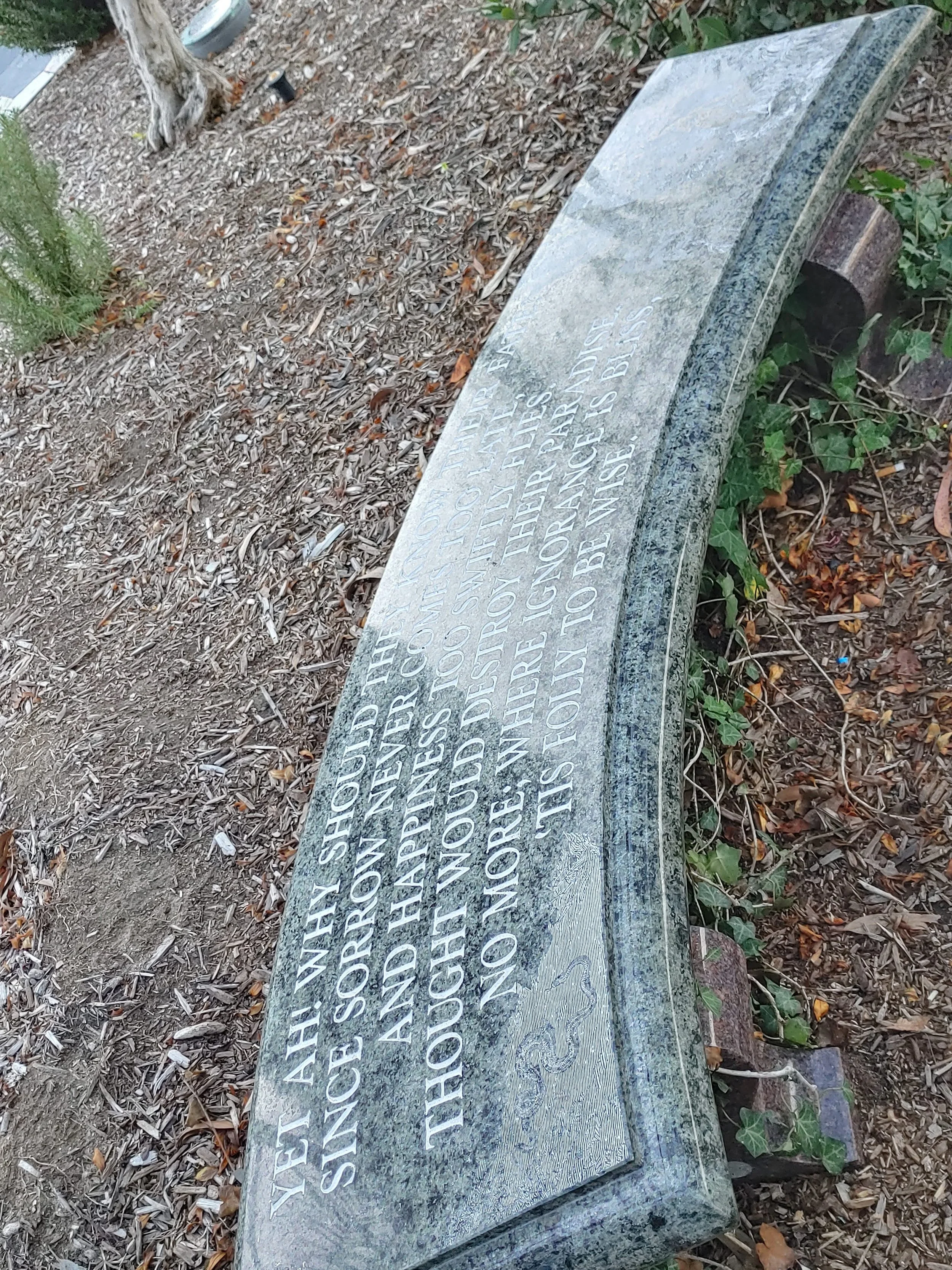 20220813_191518_HDR.jpg