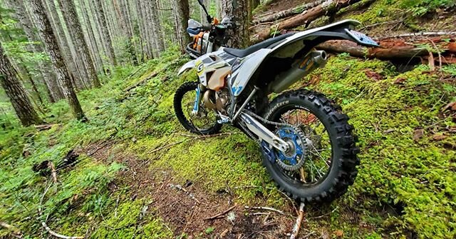 Factory test rider @jakemetteer out reclaiming some over grown trials with the #GT216AA #GT369KX combo. #nowtrythebest | #discoveryourlimit | #marktheterritory | #notacopy | #goldentyre | #goldentyrewest | #goldentyreworld