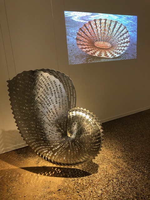 SOUTHERN NAUTILUS 2009
