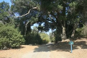 Michael D. Antonovich Regional Park at Joughin Ranch