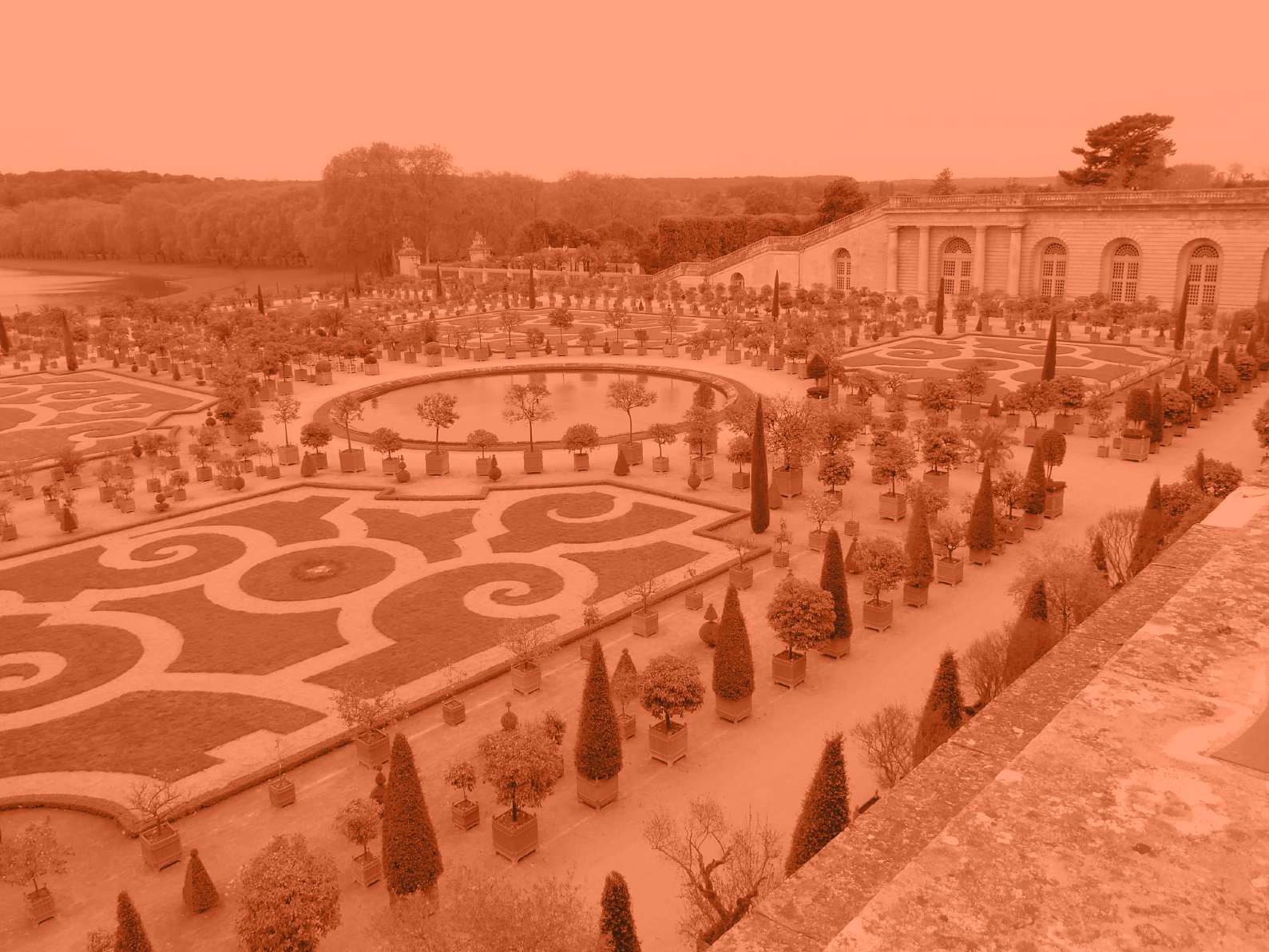 niche-rose-photo-treatment-24.png