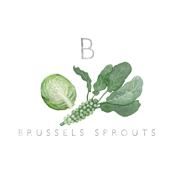 brussels copy.jpg