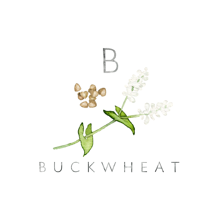 buckwheat copy.jpg