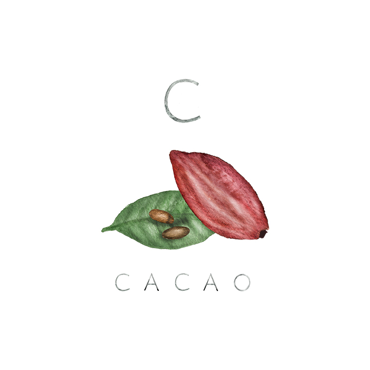 cacao copy.jpg