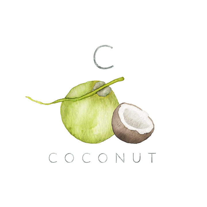 coconut copy.jpg