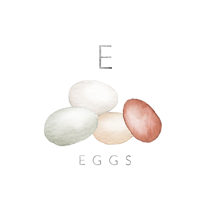 eggs copy.jpg