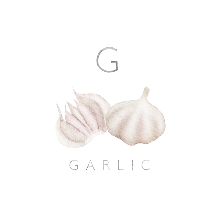 garlic copy.jpg