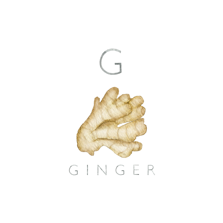 ginger copy.jpg