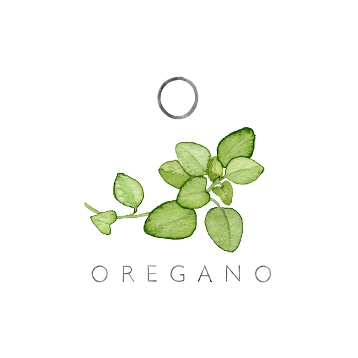 oregano copy.jpg