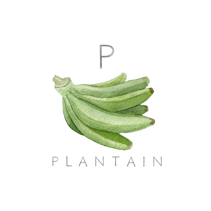 plantain copy.jpg