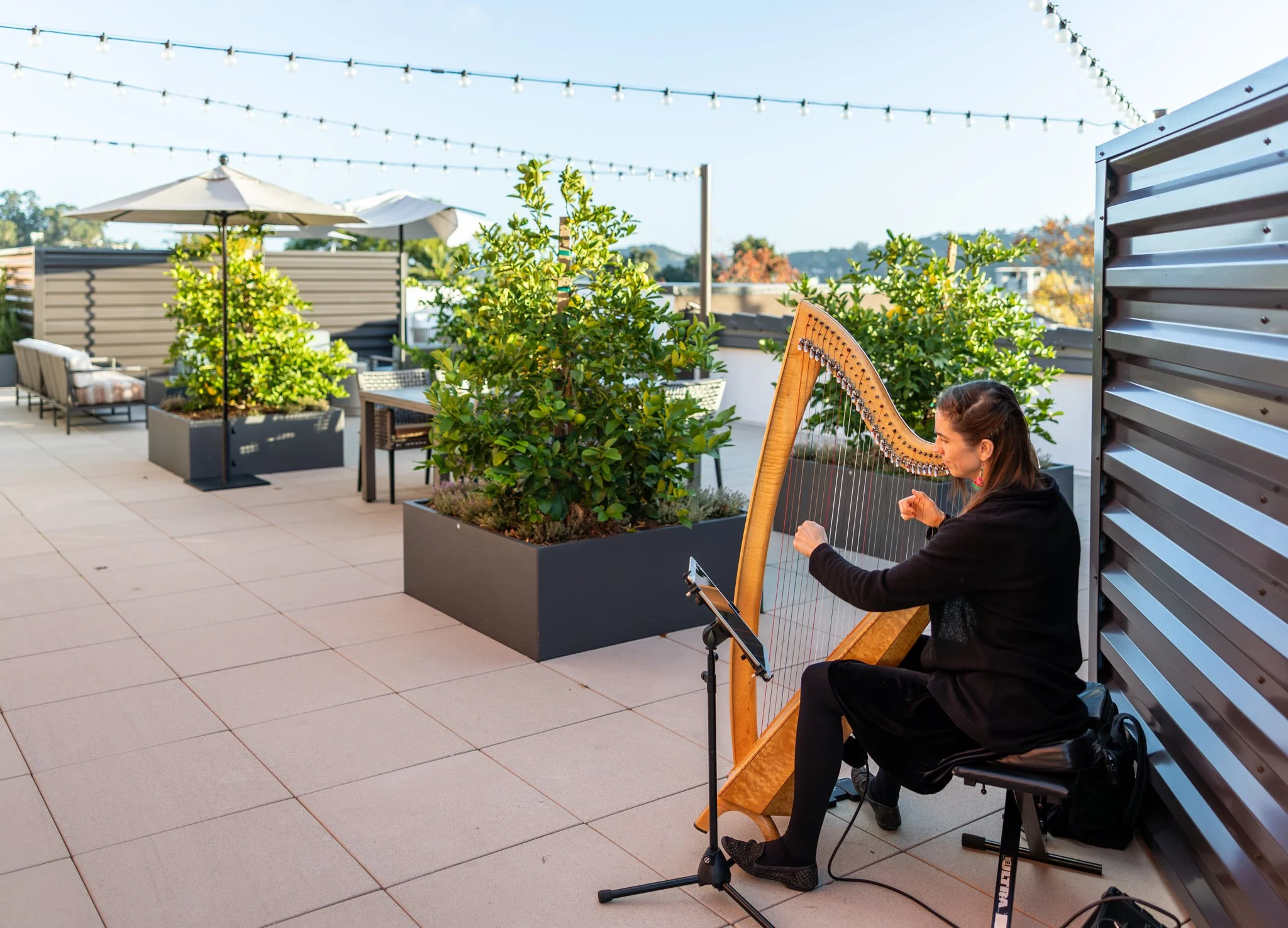 Aldersly Rooftop (2048px Web & Social)-17.jpeg