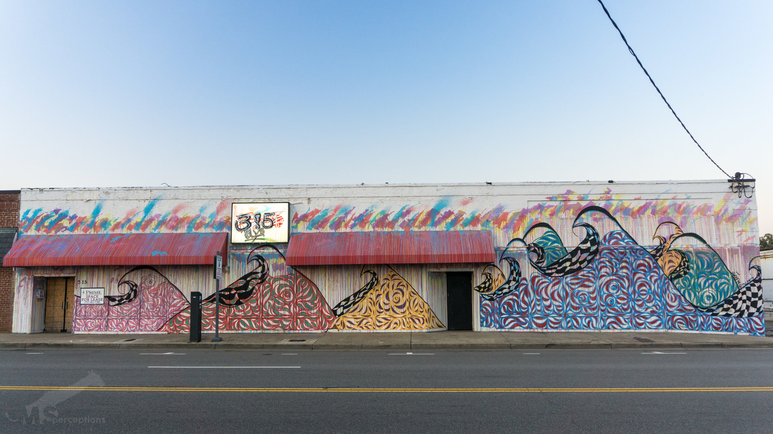 This mural by MS.perceptions and Parrish Majestic covers over 2,400 square feet on the front and side of 3!5 BLVD.