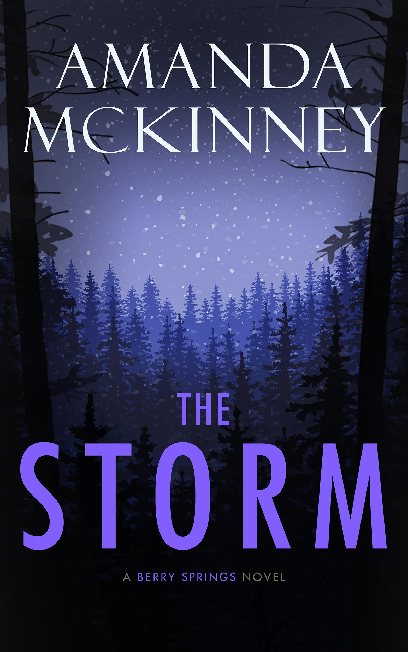 The Storm - eBook small.jpg