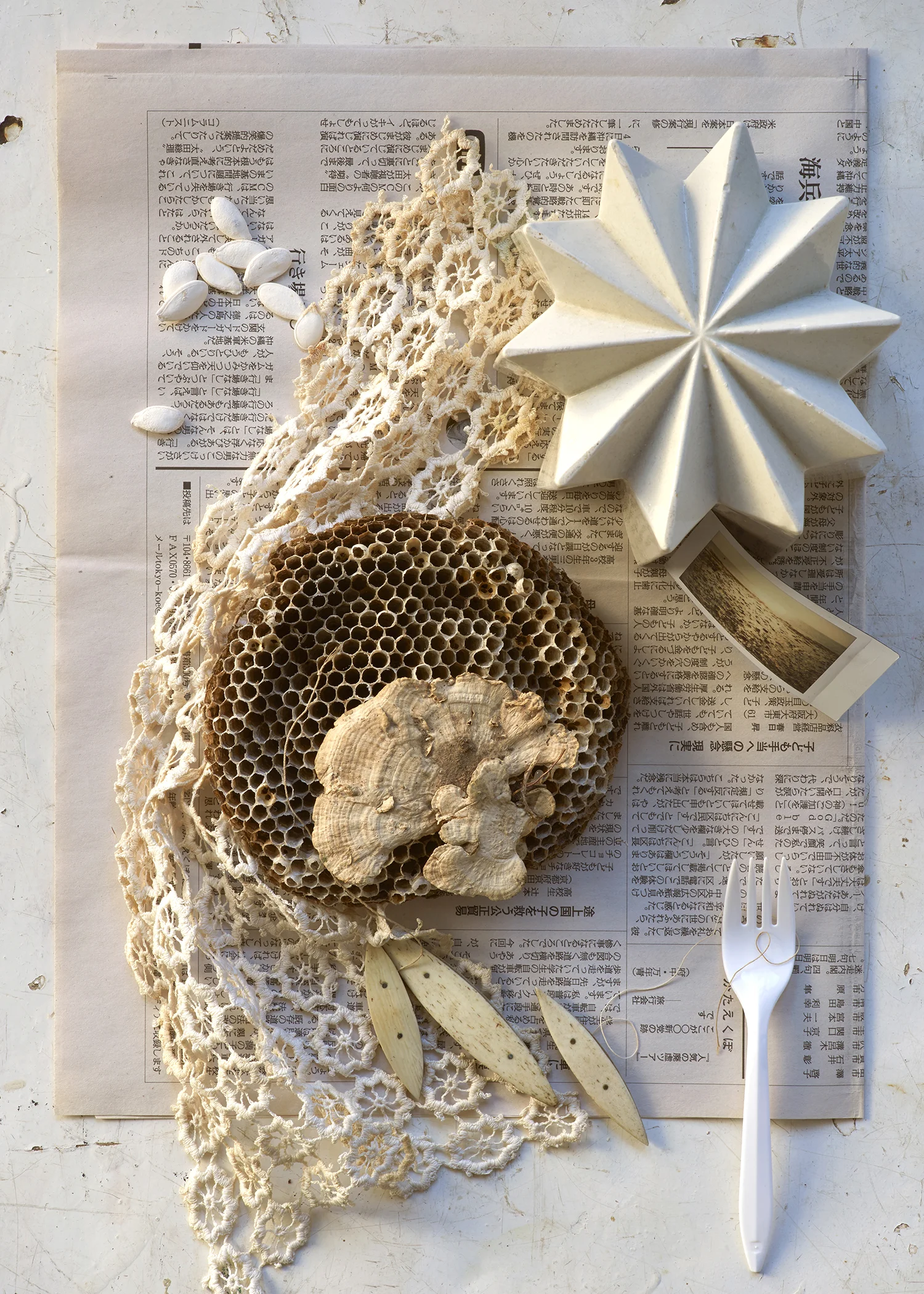 Photographed by Monica Buck, Styled by Raina Kattelson