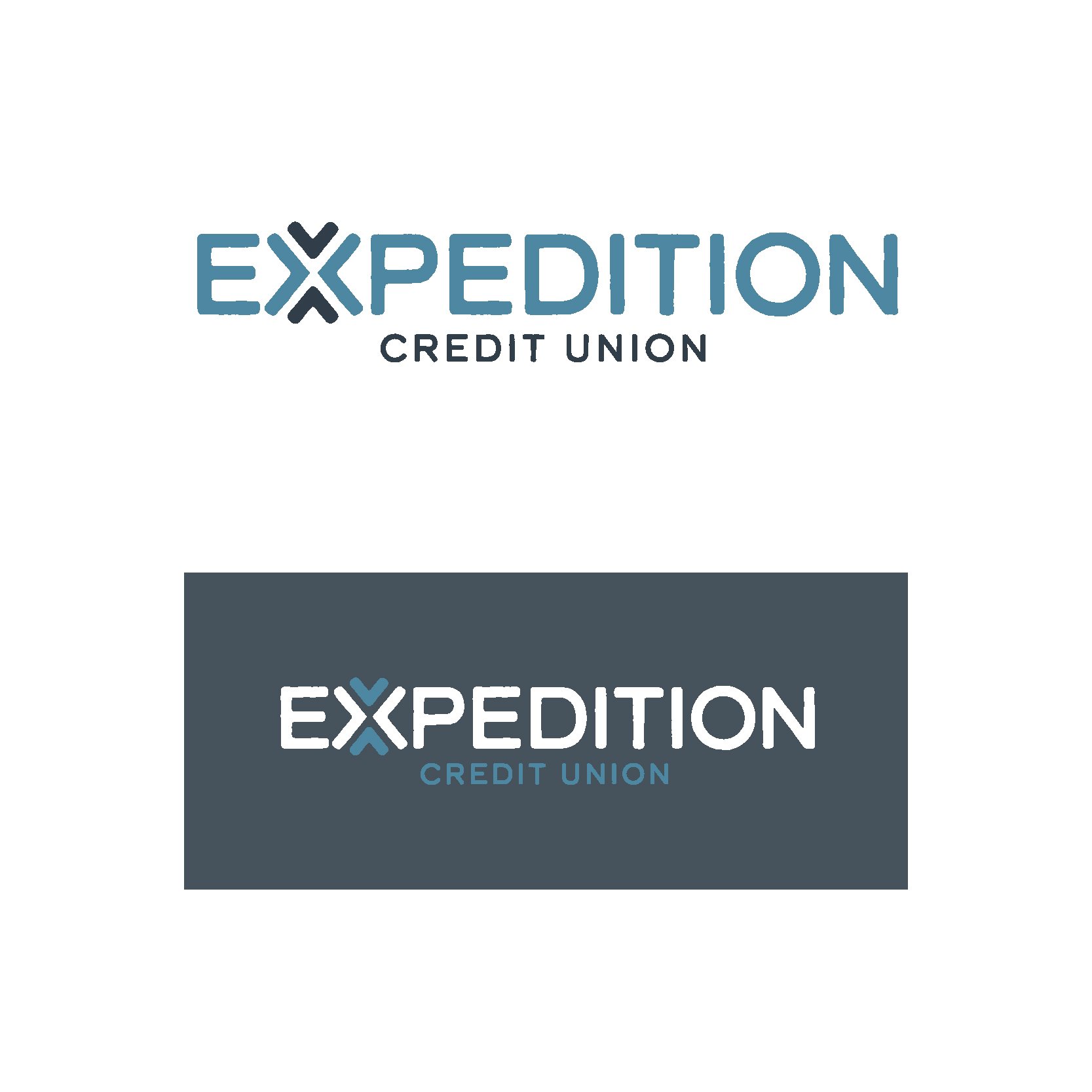 Expedition_logo_Primary.jpg