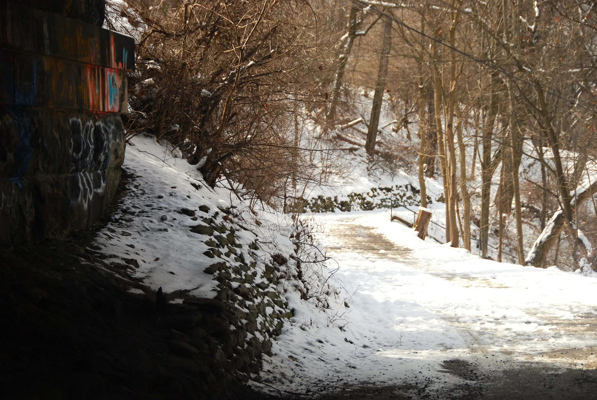 Snow on the Schenley Stairs