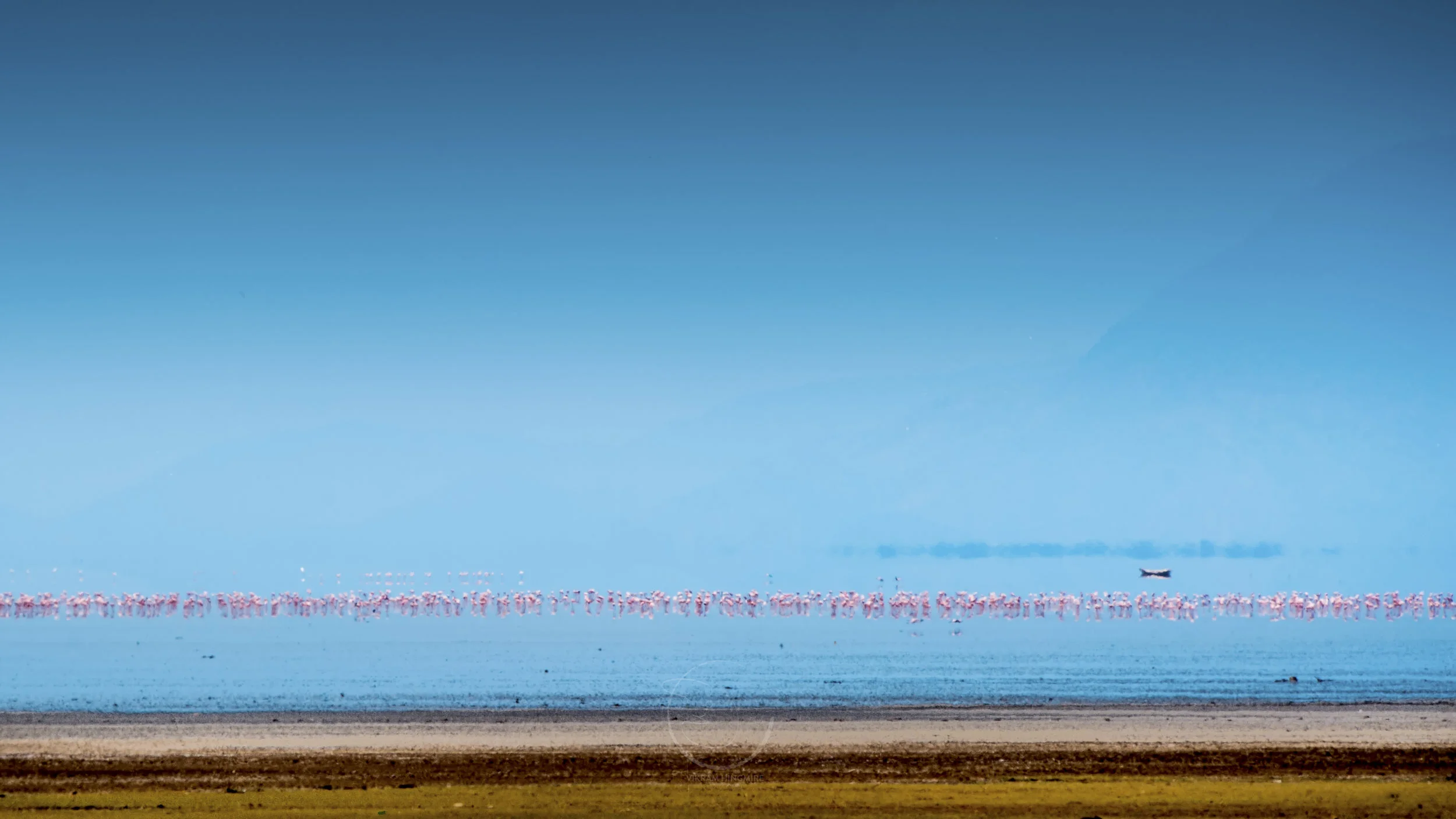_VBH5935-Edit.jpg