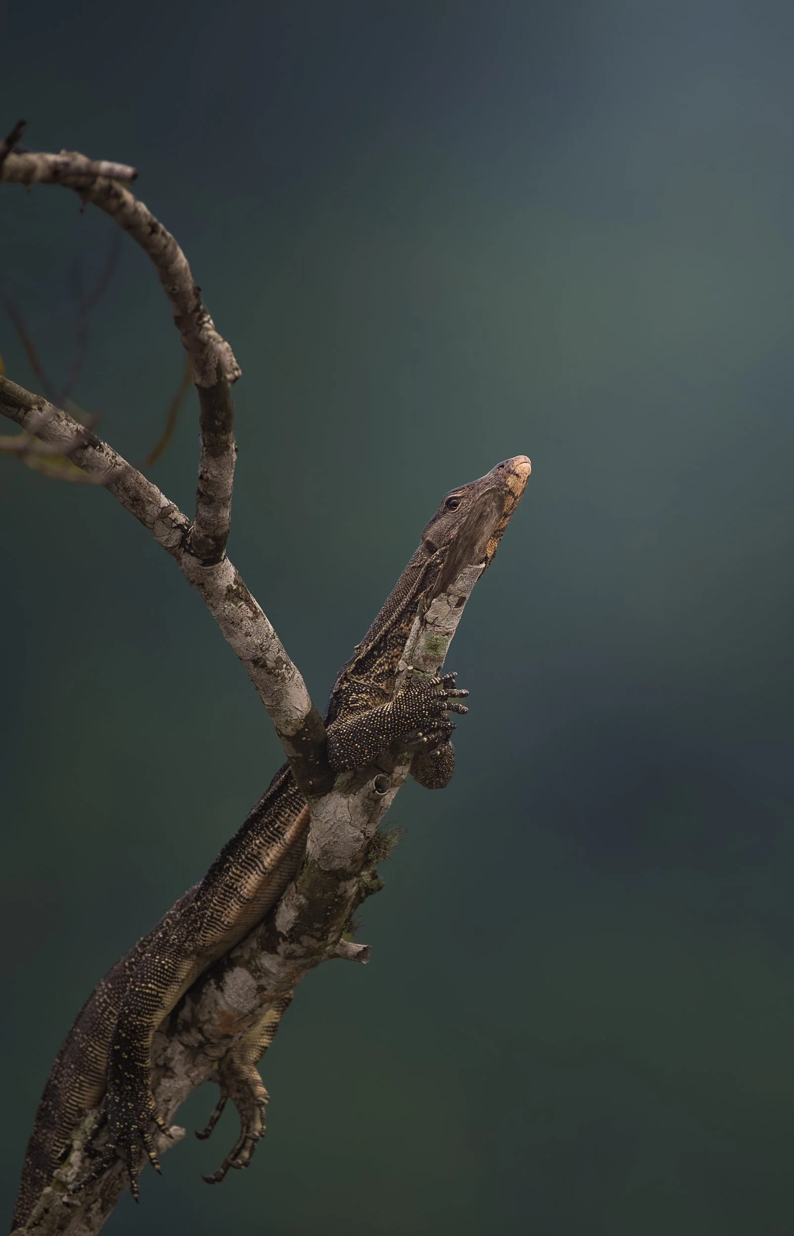 _VIK3610-Edit-3.jpg