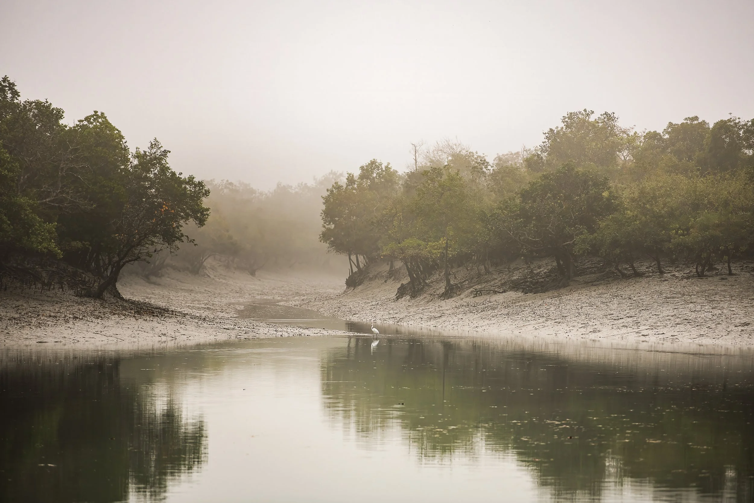 sunderban