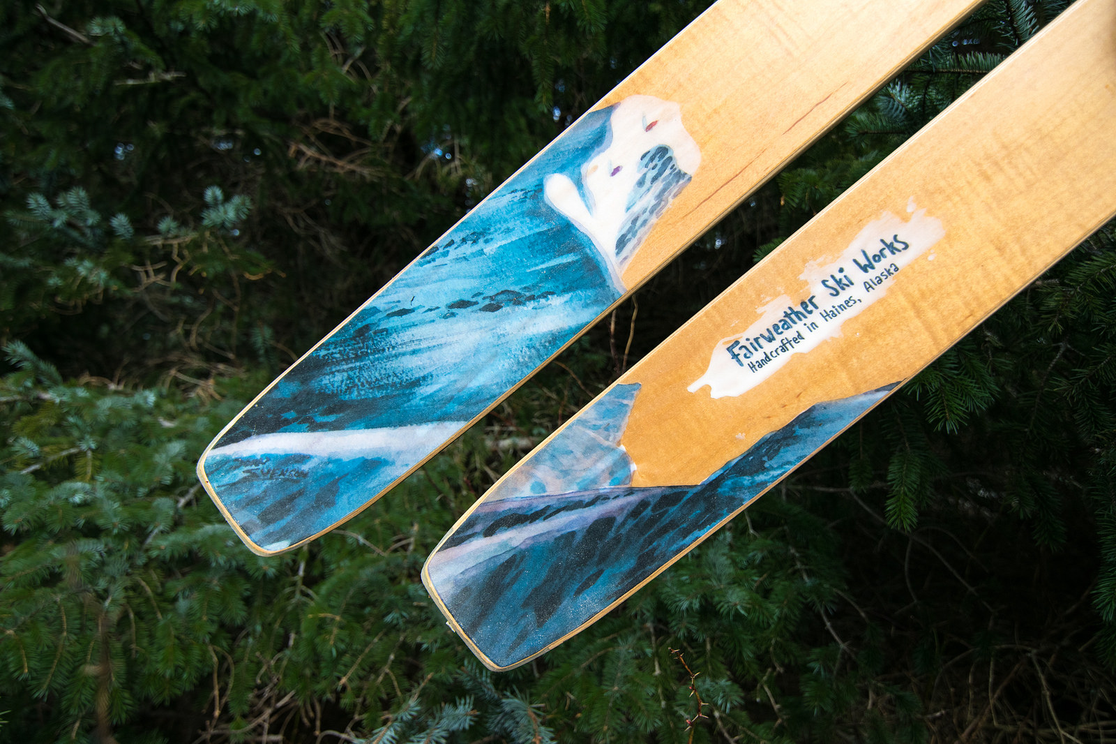 Wild Alaska Salmon – Fairweather Ski Works
