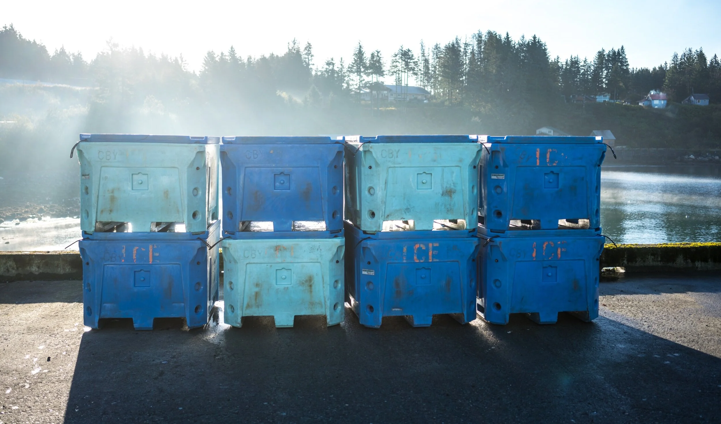 Blue_Image+header.jpg