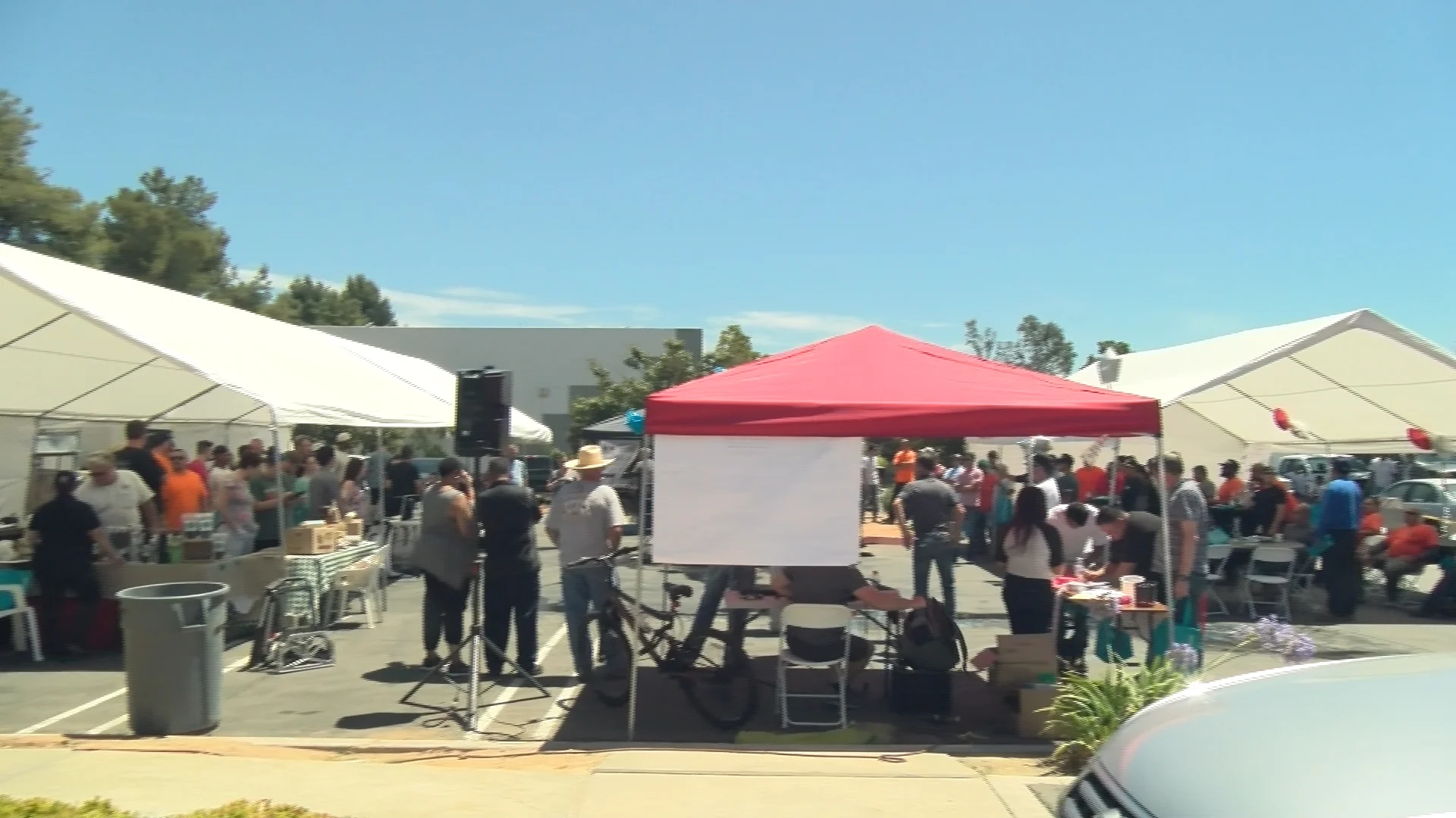 Wellness Fair