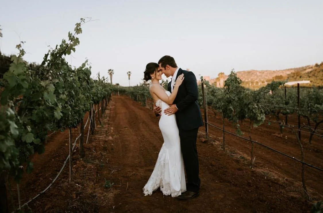 Bride and grown hugging in vineyard.