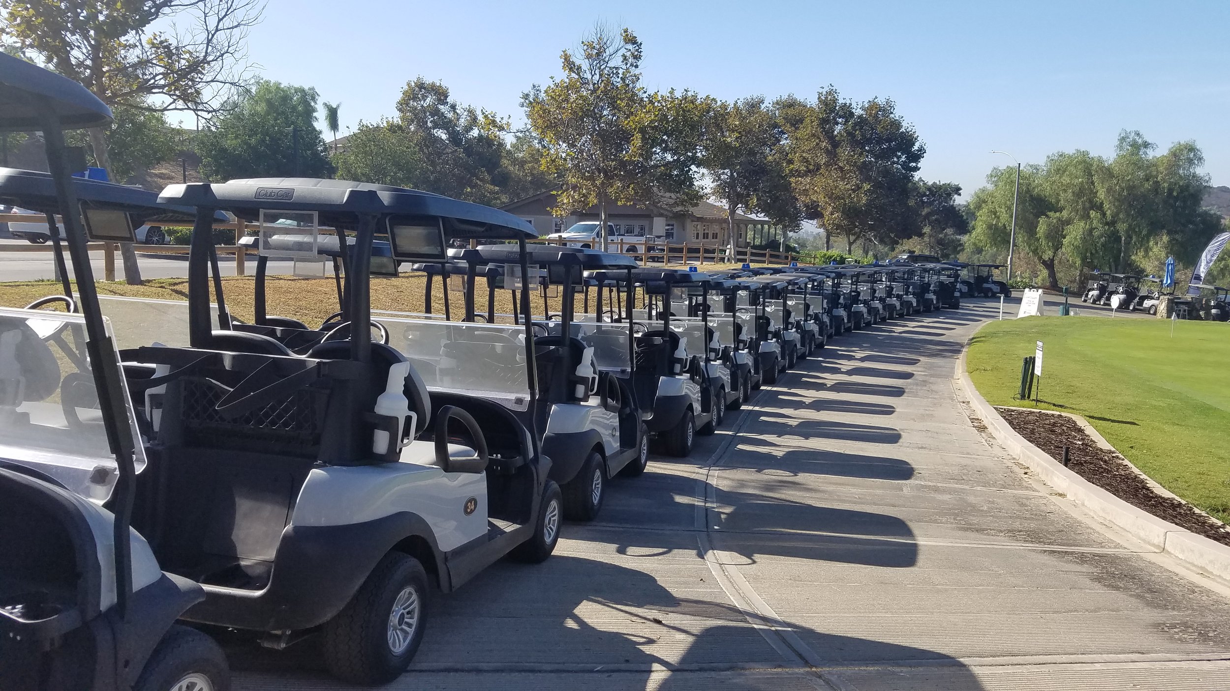 A line of golf carts.