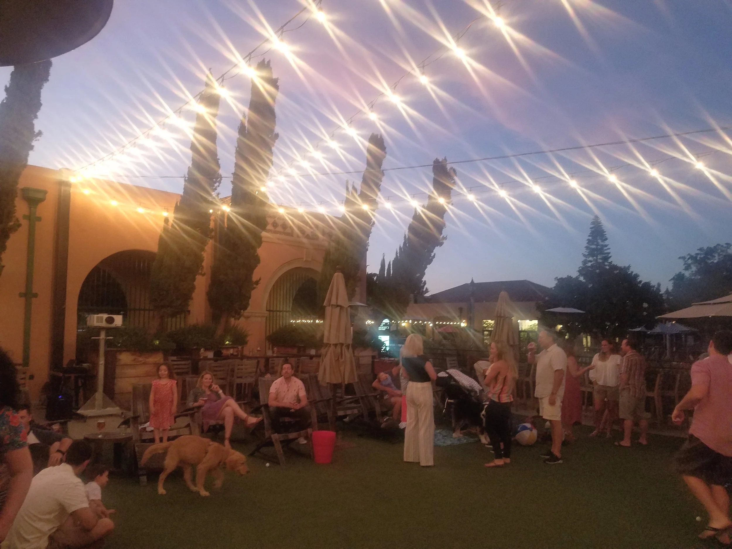 20190727_200823.jpg