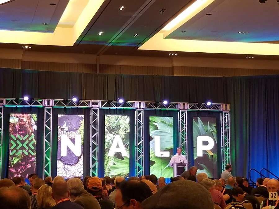 nalp stage(900).jpg