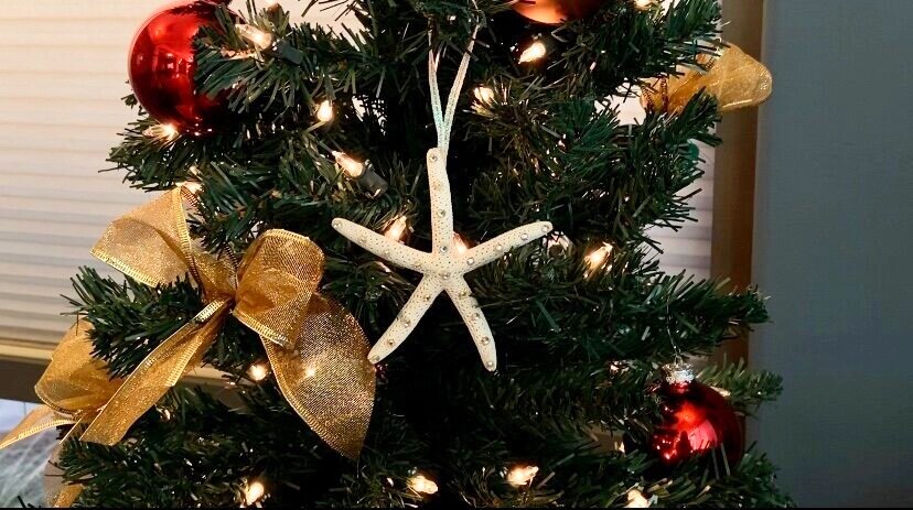 tree.jpg