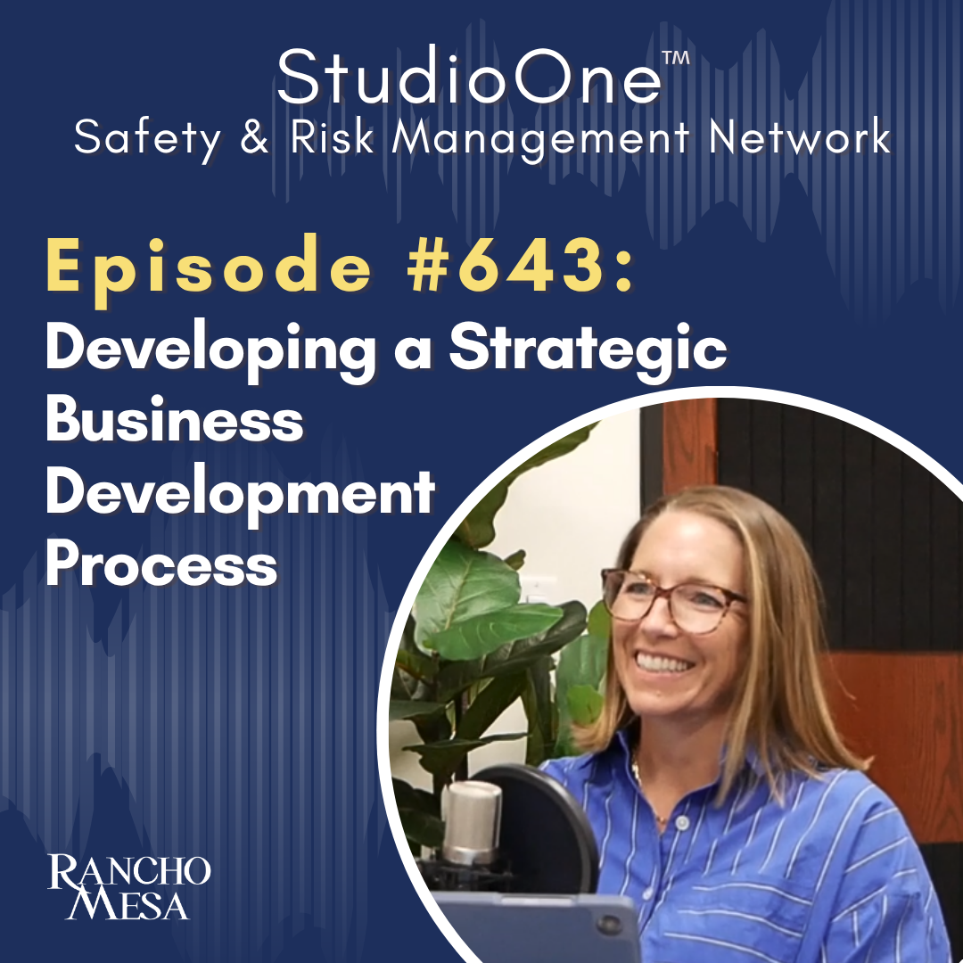 Ep. 643 Developing a Strategic Business Development Process 