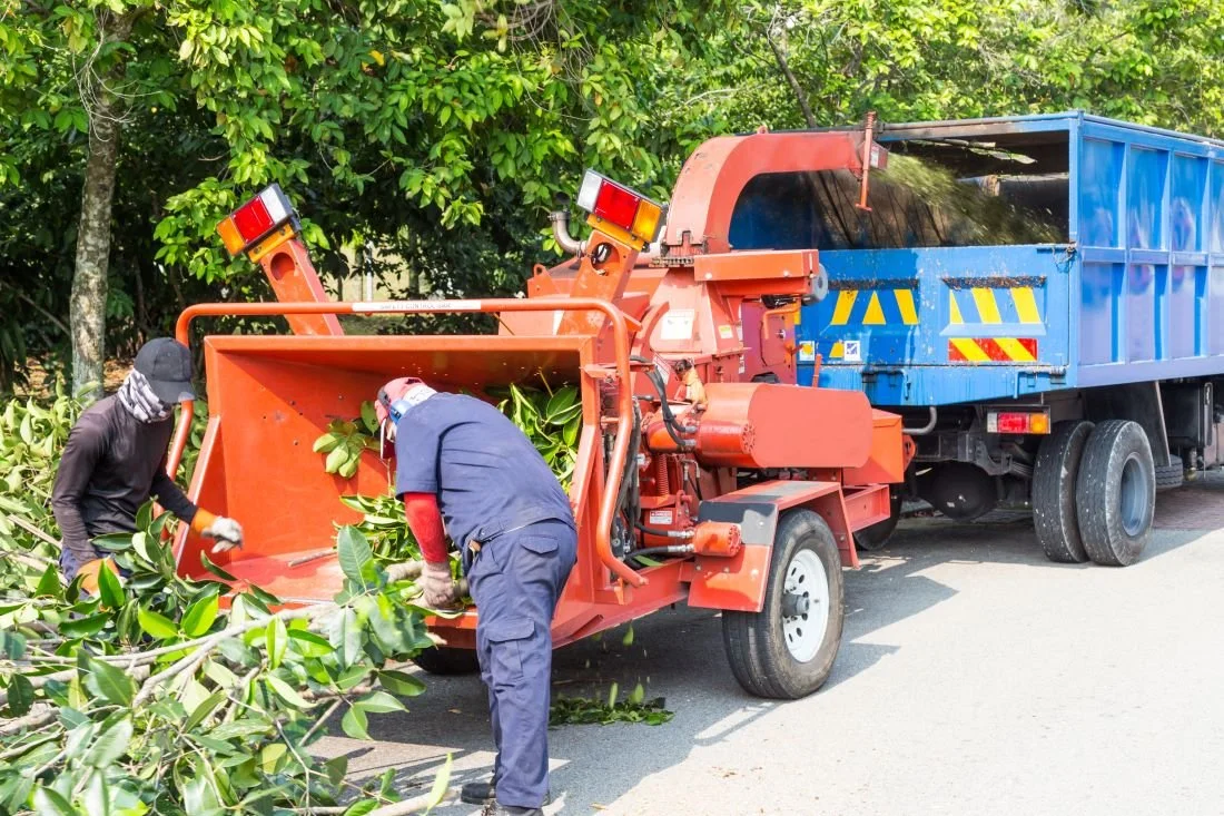 Workers loading tree into the wood chipper.jpeg