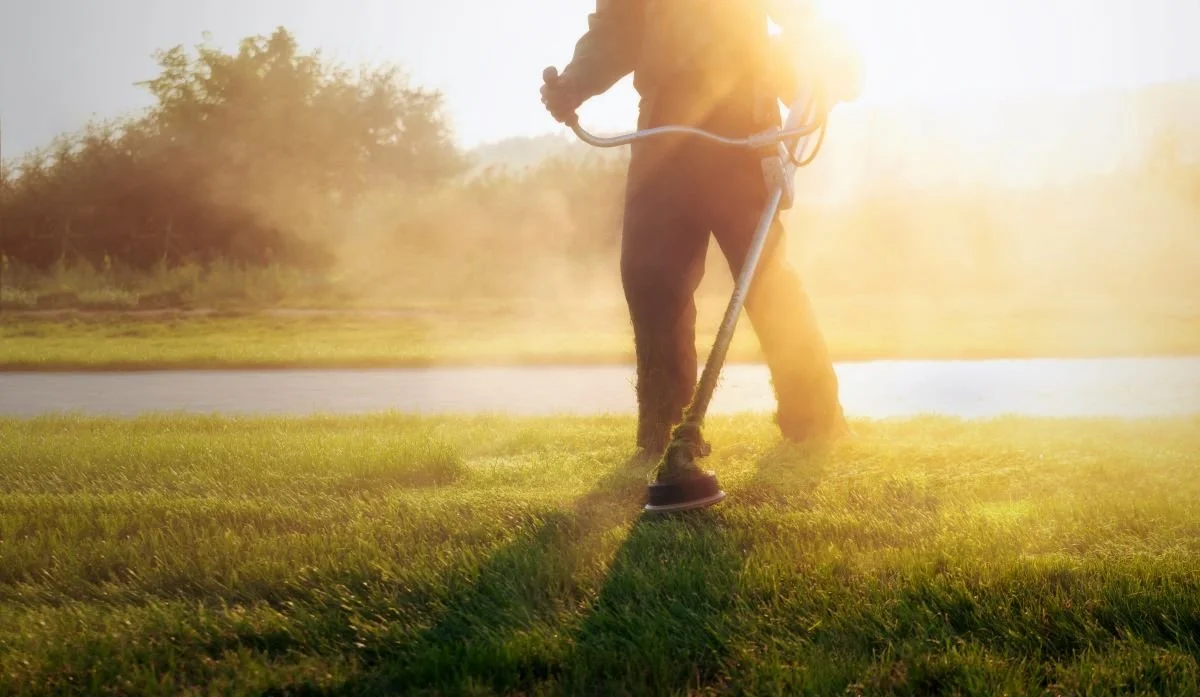 Landscape worker with weed wacker in sun cutting grass.jpg