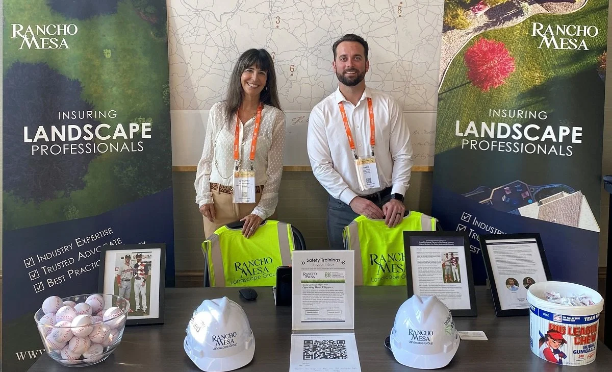 Landscapes 2021_Image 2.jpg