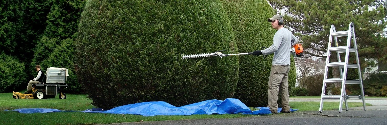 Landscapers (1500 pixels).jpg