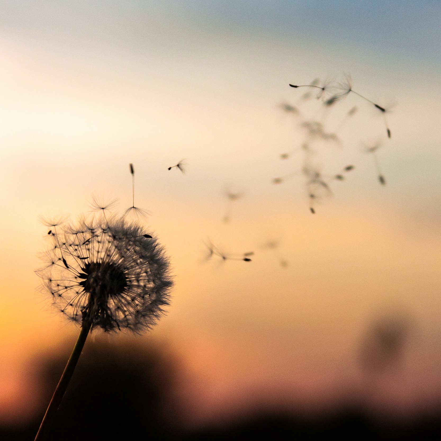 Read more about my specialty EMDR