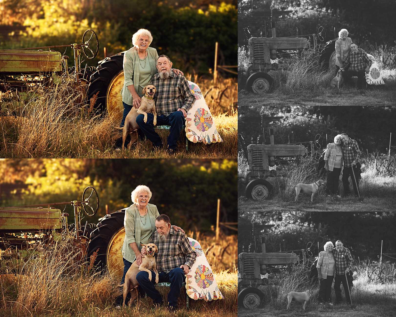 Puyallup Professional Photography